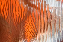 Abstraktes Acrylgemälde in braun orange weiß von Marlise Gaudig