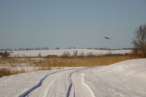 Winterlandschaft mit Vogel  von jivan21