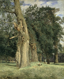 Old elms in Prater von Ferdinand Georg Waldmuller