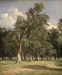 Elm trees in Prater by Ferdinand Georg Waldmuller