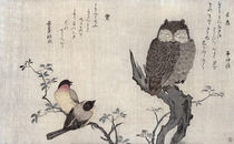 An Owl and two Eastern Bullfinches von Kitagawa Utamaro