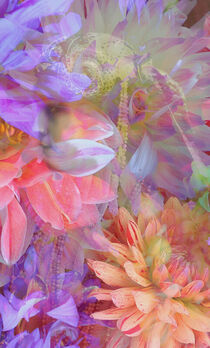 Flower Fairy Double Exposure Fantasy Art