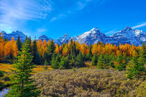Autumn in Alberta by digitly