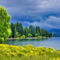Lake-wanaka-new-zealand