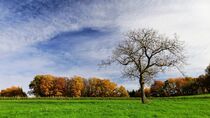 Herbst Landschaft von Christiane Fendrich