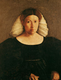 Portrait of a Woman with a White Hairnet  by Dosso Dossi