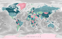 Political World Map by Sam Kal