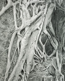 '*Roots*' by Dennis Candy