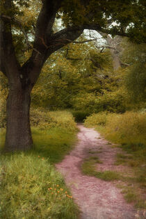 'Woodland Walk' von CHRISTINE LAKE