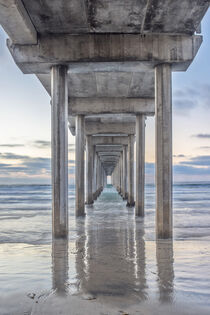 USA, California, La Jolla, Scripps Pier. Rob Tilley / Danita Delimont. by Danita Delimont