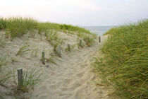 Path through dunes at Head of the Meadow Beach, Cape Cod National Seashore, Truro, MA. Jerry and Marcy Monkman / Danita Delimont by Danita Delimont