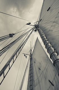 Massachusetts, Gloucester, Schooner Festival. Sails and masts Walter Bibikow / Danita Delimont by Danita Delimont