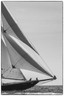 Massachusetts, Cape Ann. Gloucester Schooner Festival, parade of sail. Walter Bibikow / Danita Delimont von Danita Delimont