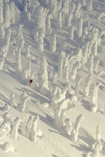 Alpine Skier in thick snowghosts, Big Mountain Resort, Whitefish, Montana. Chuck Haney / Danita Delimont von Danita Delimont