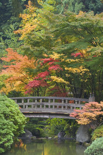 Oregon. Wooden bridge over pond. Portland Japanese Garden. Don Paulson / Jaynes Gallery / Danita Delimont. von Danita Delimont