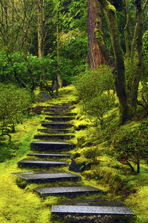 Spring on steps of Portland Japanese Garden, Portland, Oregon. Michel Hersen / Danita Delimont