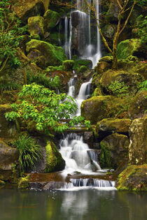 Heavenly Falls, Portland Japanese Garden, Portland, Oregon. Michel Hersen / Danita Delimont by Danita Delimont
