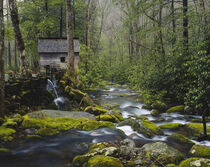 Watermill by stream in forest. Great Smoky Mountains National Park, Tennessee. Adam Jones / Danita Delimont by Danita Delimont