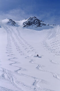 Skier enjoying the backcountry in the Wasatch, Utah. Howie Garber / Danita Delimont by Danita Delimont