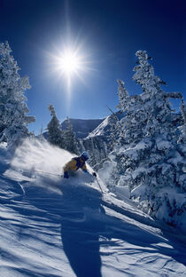 Skiing at Snowbird Resort, Wasatch Mountains, Utah. James Kay / Danita Delimont by Danita Delimont