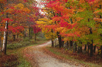 Vermont Country Road in Fall. Charles Sleicher / Danita Delimont by Danita Delimont