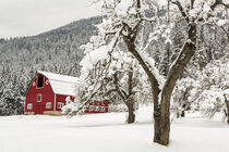 Fresh snow on red barn near Salmo, British Columbia, Canada. Chuck Haney / Danita Delimont von Danita Delimont