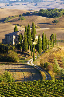 Belvedere House in Southern Tuscany, Italy.  Terry Eggers / Danita Delimont von Danita Delimont