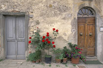 Italy, Tuscany, Castellina in Chianti. Tuscan doorway. Walter Bibikow / Danita Delimont by Danita Delimont