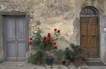 Italy, Tuscany, Chianti. Tuscan doorway. Walter Bibikow / Danita Delimont by Danita Delimont