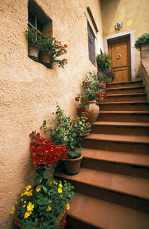 Europe, Italy, Tuscany, Chianti. Tuscan staircase. Walter Bibikow / Danita Delimont von Danita Delimont