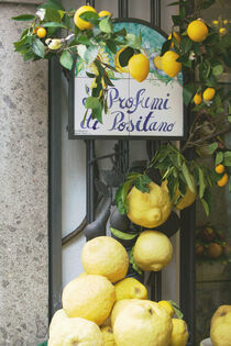 Italy, Campania (Amalfi Coast), Positano. Lemons tree decor. Walter Bibikow / Danita Delimont von Danita Delimont