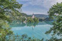 Slovenia, Bled. Bled Island. Rob Tilley / Danita Delimont by Danita Delimont