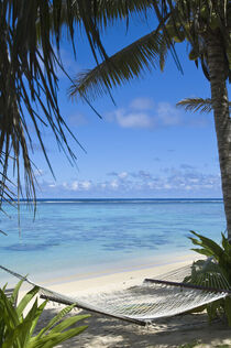 Cook Islands, Rarotonga. Beach hammock. Michael DeFreitas / Danita Delimont by Danita Delimont