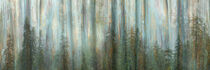 Alaska, Misty Fiords National Monument. Panoramic collage of paint-splattered curtain. Don Paulson / Jaynes Gallery / Danita Delimont von Danita Delimont