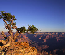 Grand Canyon, Arizona. Paul Thompson / Danita Delimont von Danita Delimont