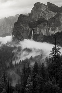 Usa, California. Yosemite National Park. Black and White image of granite outcropping , Bridal Veil Falls, and mist through the forest von Danita Delimont