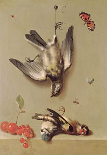 Still Life of Dead Birds and Cherries by Jean-Baptiste Oudry