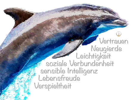 Delphin-werte-wandbild
