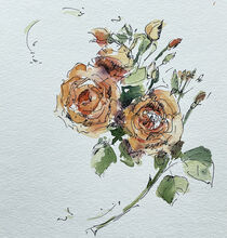 Orange Rose by Sonja Jannichsen