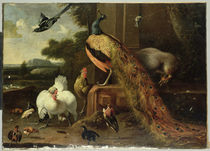 Revolt in the Poultry Coup  von Melchior de Hondecoeter