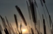 Windspiel mit Sonnenuntergang von Edgar Schermaul