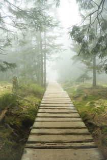 Der Weg in den Nebel by Holger Spieker