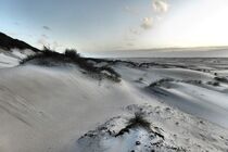 AuFs WoRt | sand dune | auf Texel | 2020 von Corinna Benezé | AuFs WoRt