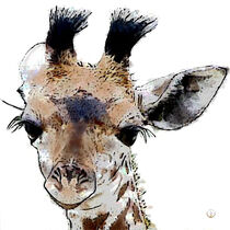 Krafttier Giraffe - Junge Giraffe by Astrid Ryzek