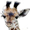 Giraffe-7000-logo