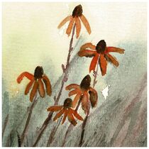 Wiesenblumen von Angela Mackert