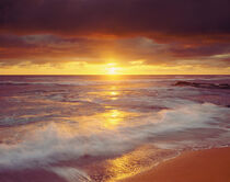 USA, California, San Diego. Sunset Cliffs beach on the Pacific Ocean at sunset. 