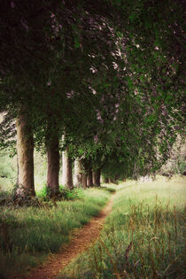 'The Tree Lined Path' von CHRISTINE LAKE