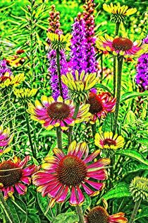 'Summerflowers' von Eric Fischer