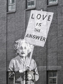 Banksy Einstein Love Is The Answer by Frank Daske